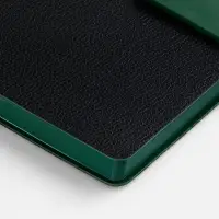 Ежедневник Boom, недатированный, черный с зеленым