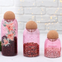 Новый год. Банка для хранения &laquo;Волшебное время&raquo;, 500 мл