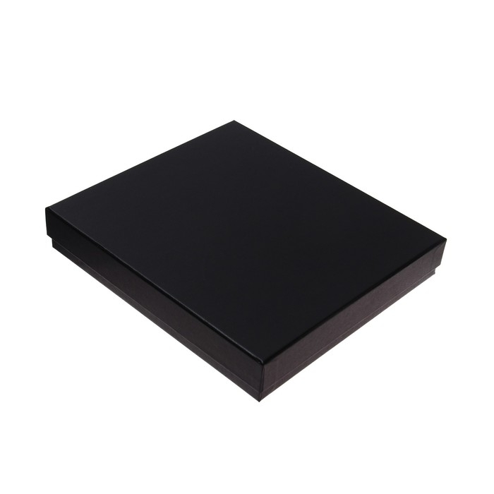 Органайзер на кольцах,ПВХ, А5,140 л,клетка,с ручкой,подар короб,сканер пальца,зарядка,Черный Органайзер на кольцах,ПВХ, А5,140 л,клетка,с ручкой,подар короб,сканер пальца,зарядка,Черный