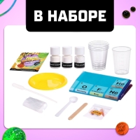 Набор для опытов &laquo;Молекулярная кухня&raquo;