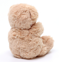 Мягкая игрушка &laquo;Ты лучше всех&raquo;, медведь, цвета МИКС