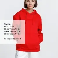 Худи унисекс Phoenix, красное, размер XXL