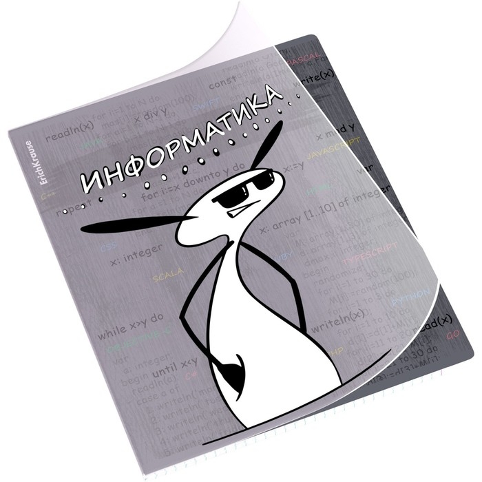 Тетрадь предметная ИНФОРМАТИКА, 48 листов в клетку, ErichKrause Тетрадь предметная ИНФОРМАТИКА, 48 листов в клетку, ErichKrause "Чубрик", пластиковая обложка, шелкография, блок офсет 100% белизна, инфо-блок