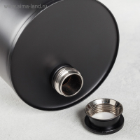 Фляжка &laquo;ALcohol&raquo;, 700 мл