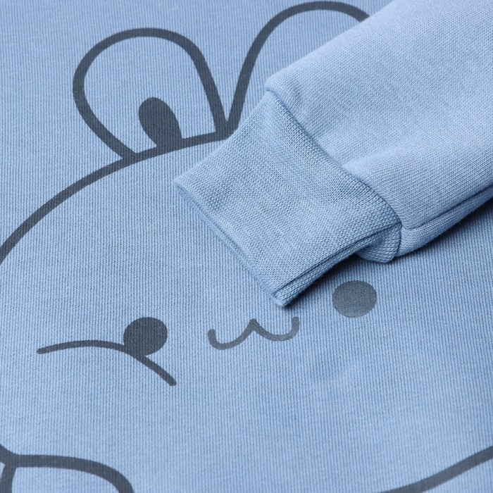 Костюм детский с начёсом (свитшот, брюки) KAFTAN Кролик р.30 (98-104), голубой Костюм детский с начёсом (свитшот, брюки) KAFTAN Кролик р.30 (98-104), голубой