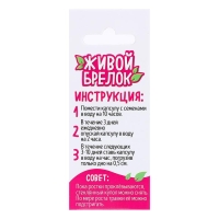 Набор для опытов &laquo;Живой брелок&raquo;, мини-сад, вырасти сама