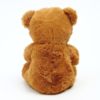 Мягкая игрушка &laquo;Мишка&raquo;, 25 см, цвета коричневый