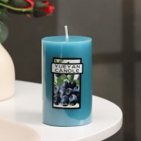 Свеча-цилиндр ароматическая "Черника", 6х10 см Свеча-цилиндр ароматическая "Черника", 6х10 см