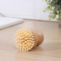 Щётка для посуды Доляна &laquo;Лотос&raquo;, круглая