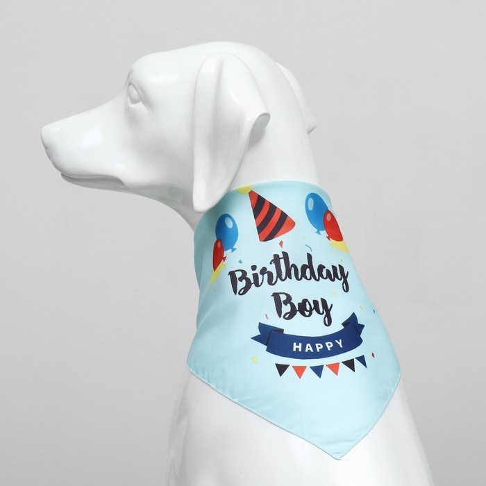 Платок для животных Платок для животных "С днём рождения", 15 х 12 х 1 см, голубой