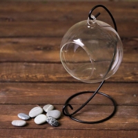 Флорариум "Сфера" на подвесе, d отв-я 6 см 23х13х11 см Флорариум "Сфера" на подвесе, d отв-я 6 см 23х13х11 см