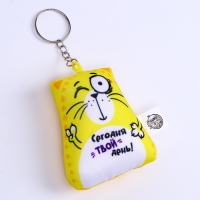 Брелок-антистресс «Сегодня твой день!», кот, 6х7 см Брелок-антистресс «Сегодня твой день!», кот, 6х7 см