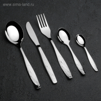 Набор столовый &laquo;Лира&raquo;, 30 предметов, декоративная коробка, цвет серебряный