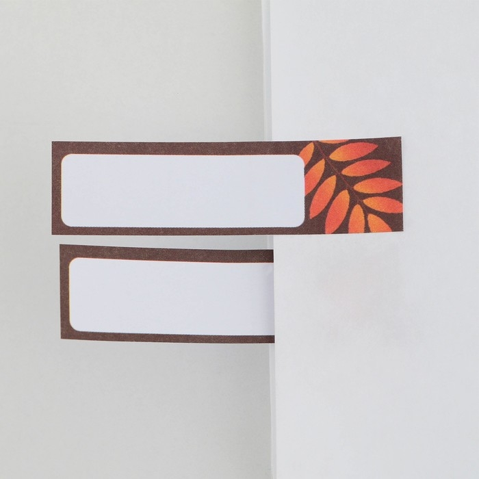 Набор стикеров-закладок &laquo;Лучшему учителю&raquo;, 4 шт., 20 листов