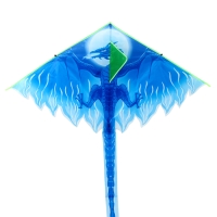 Воздушный змей «Дракон», цвета МИКС Воздушный змей «Дракон», цвета МИКС