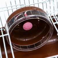 Клетка для грызунов "Пижон", 27 х 21 х 17 см, коричневая Клетка для грызунов "Пижон", 27 х 21 х 17 см, коричневая