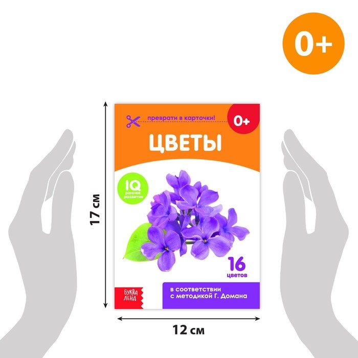 Книги &laquo;Карточки Домана. Окружающий мир&raquo;, набор, 8 шт. по 20 стр.