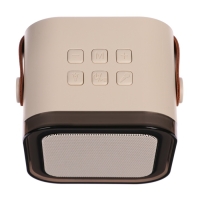 Мини караоке-система K12, 5 Вт, 2 микрофона, 800/400мАч, Jack 3.5, Type-С, USB, RGB,бежевая Мини караоке-система K12, 5 Вт, 2 микрофона, 800/400мАч, Jack 3.5, Type-С, USB, RGB,бежевая