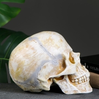 Копилка "Череп" кость, 16х13х22см Копилка "Череп" кость, 16х13х22см