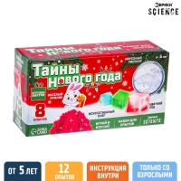 Набор для опытов &laquo;Тайны Нового Года&raquo;, кролик