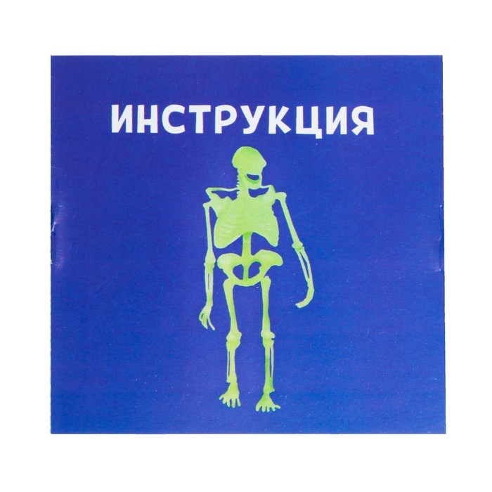 Набор для опытов &laquo;Тело человека&raquo;, светится в темноте