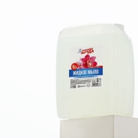 Мыло жидкое кухонное, 5 л (5000 мл), аромат орхидеи, РУССКАЯ ВЫГОДА Мыло жидкое кухонное, 5 л (5000 мл), аромат орхидеи, РУССКАЯ ВЫГОДА