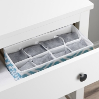 Органайзер для хранения белья Доляна «Лагуна», 8 ячеек, 28×14×10 см, цвет бирюзовый Органайзер для хранения белья Доляна «Лагуна», 8 ячеек, 28×14×10 см, цвет бирюзовый