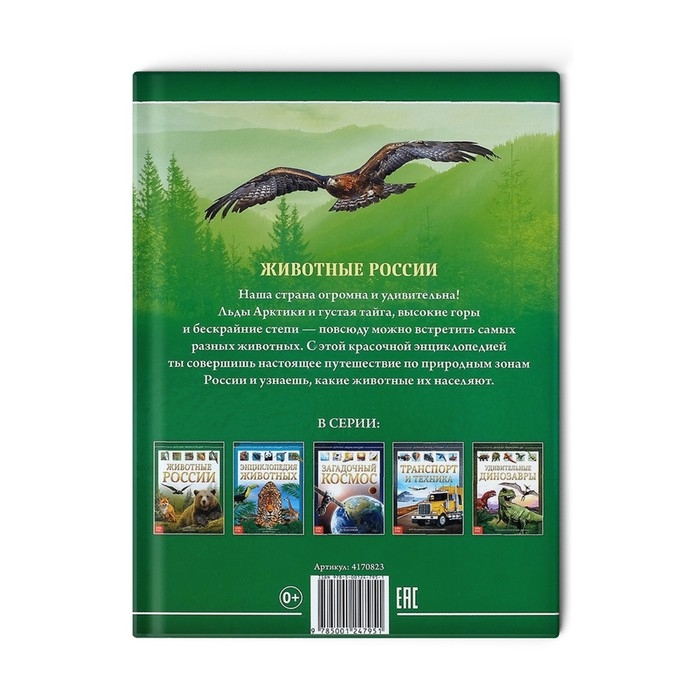Детская энциклопедия в твёрдом переплёте &laquo;Животные России&raquo;, 48 стр.