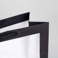 Пакет подарочный крафтовый с пластиковым окном, упаковка, &laquo;Burn to be wild&raquo;, 31 х 26 х 11 см