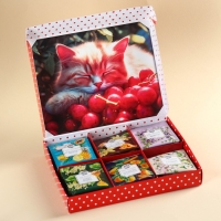 Чайная коллекция «Уютных чаепитий», 54 г (30 пакетиков х 1,8 г). Чайная коллекция «Уютных чаепитий», 54 г (30 пакетиков х 1,8 г).