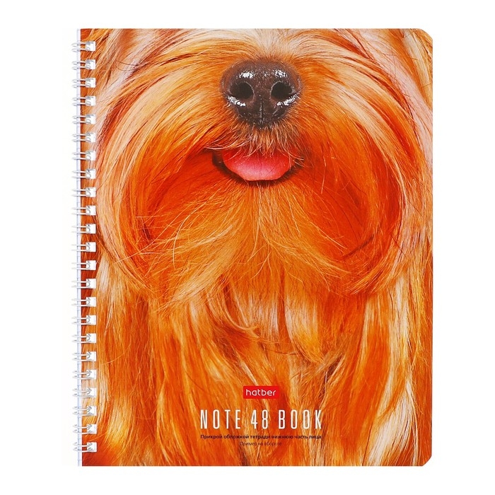 Тетрадь 48 листов, в клетку, на гребне, Тетрадь 48 листов, в клетку, на гребне, "Разбуди в себе Зверя!", обложка мелованный картон, блок офсет, МИКС