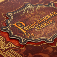 Родословная книга &laquo;История семьи&raquo;, 27 листов, 24.5 х 29.2 см