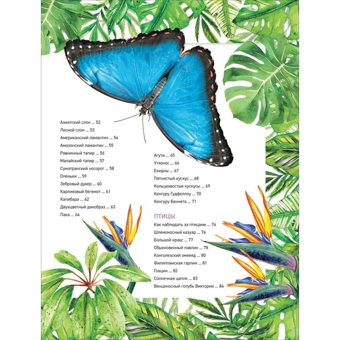 Энциклопедия &laquo;Удивительные животные&raquo;
