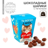 Шоколадные шарики с печеньем &laquo;Ты всегда в моём мур-мяу&raquo;, 24 г (3 шт. х 8 г).