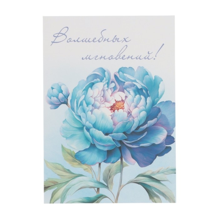 Набор мини-открыток Набор мини-открыток "Цветы" 7,6 х 10,6 см