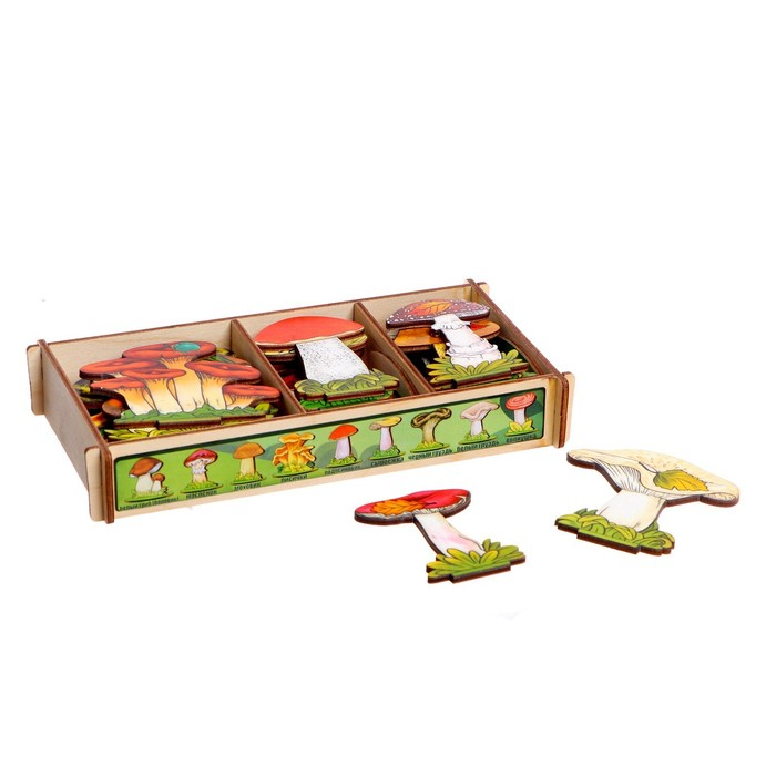 Набор &laquo;Грибы на подставке&raquo; в деревянной коробке, 36 деталей