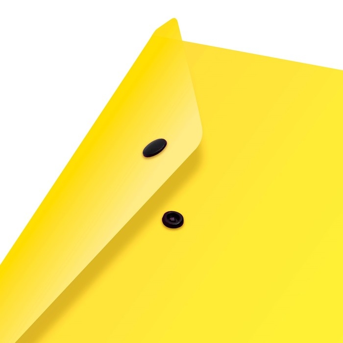 Набор папок-конвертов на кнопке 12 штук, А4, 180 мкм, Calligrata Neon, полупрозрачные, неоновый МИКС Набор папок-конвертов на кнопке 12 штук, А4, 180 мкм, Calligrata Neon, полупрозрачные, неоновый МИКС