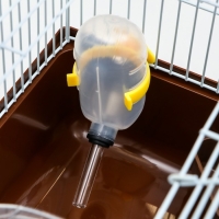 Клетка для грызунов "Пижон", 23 х 17 х 17 см, коричневая Клетка для грызунов "Пижон", 23 х 17 х 17 см, коричневая