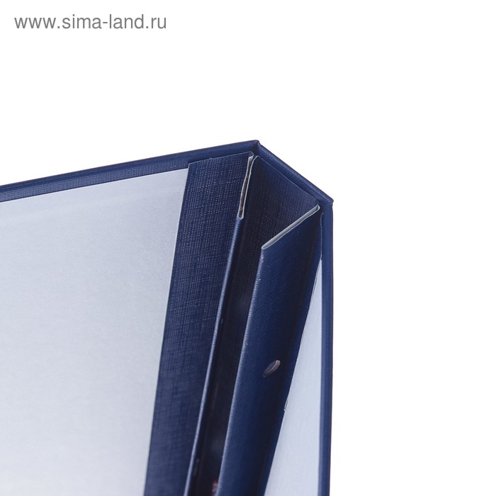 Папка Папка "Магистерская диссертация" бумвинил, гребешки/сутаж, без бумаги, цвет синий (вместимость до 300 листов)