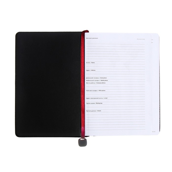 Ежедневник недатированный А5, 160 листов POLO NEW, твёрдая обложка, искусственная кожа, зелёный