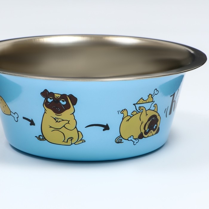 Миска стандартная Миска стандартная "Пижон. Коротко о диете", 450 мл