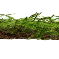 Декоративная панель, 90 &times; 40 см, &laquo;Папоротник&raquo;, Greengo