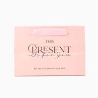 Пакет подарочный с широким дном, упаковка, &laquo;Present&raquo;, 20 х 14 х 13,2 см