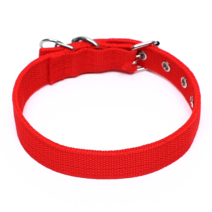 Ошейник двухслойный с вертлюгом, 55 х 2,5 см, полиэстер, красный Ошейник двухслойный с вертлюгом, 55 х 2,5 см, полиэстер, красный