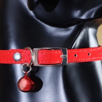 Ошейник "Сияние" с бусиной и бубенчиком, 29 х 1 см, ОШ 21-26, красный Ошейник "Сияние" с бусиной и бубенчиком, 29 х 1 см, ОШ 21-26, красный