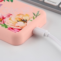 Зарядное устройство &laquo;Цветы&raquo;, 5000мА