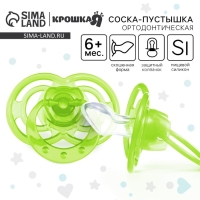 Соска - пустышка силиконовая ортодонтическая «Бантик», от 6 мес., с колпачком, цвет зеленый Соска - пустышка силиконовая ортодонтическая «Бантик», от 6 мес., с колпачком, цвет зеленый
