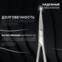 Ножницы маникюрные &laquo;Premium&raquo;, узкие, загнутые, 10,5 см, на блистере, цвет матовый серебристый