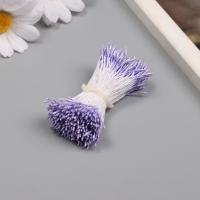 Тычинки для искусственных цветов глянец "Рисинки" сиреневый набор 360 шт длина 6 см Тычинки для искусственных цветов глянец "Рисинки" сиреневый набор 360 шт длина 6 см