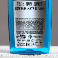 Подарочный набор косметики новогодний &laquo;Настоящему мужику&raquo;, гель для душа и шампунь для волос, 2 х 250 мл, Новый Год